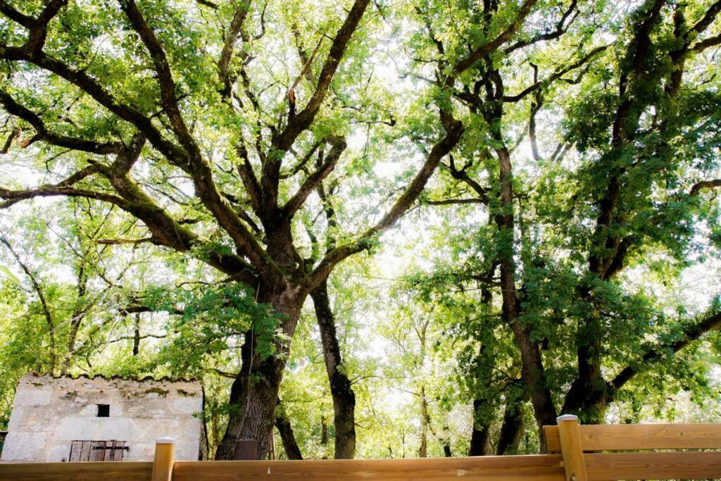 La Taniere Des Druides Villa Luzech Екстериор снимка